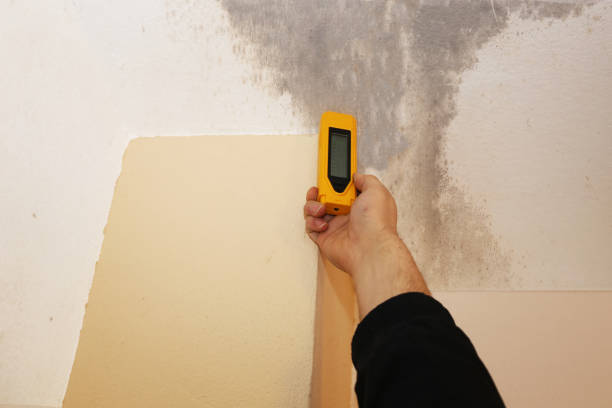 Best Residential Mold Inspection & Testing  in Palmetto, GA