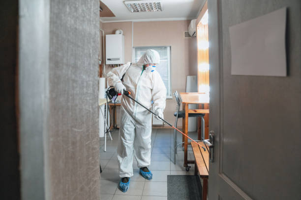 Best Real Estate Mold Inspection  in Palmetto, GA