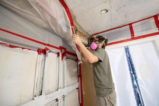 Reliable Palmetto, GA Mold Removal Solutions