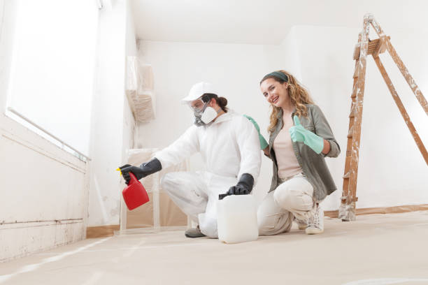 Reliable Palmetto, GA Mold Removal Solutions